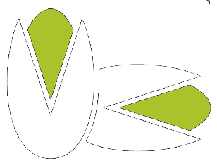 pistazien-logo